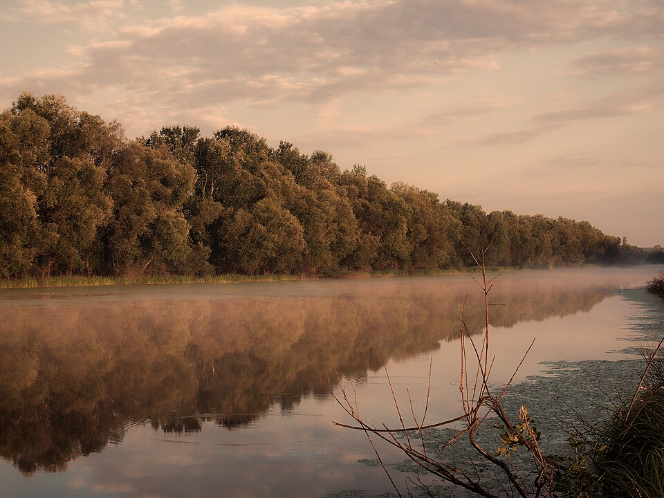 Lonjsko polje